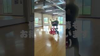 競技ダンス（社交ダンス）パートナー探し100日チャレンジ #ballroom #dance