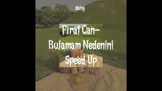 Fırat Can-Bulamam Nedenini(speed up) Resimi