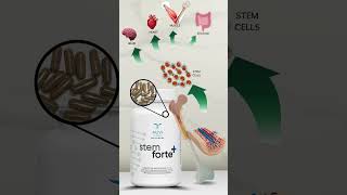 STEMFORTE PLUS STEM CELLS