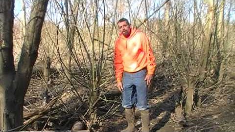 jimwardwhitetailacademy.com - #4 Manipulating Habitat To Create Bedding and Tree Stand Locations