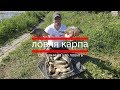 Ловля карпа  где, как и на что ловить