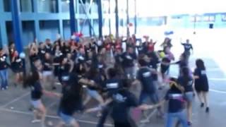 ESC '13 Santa Cruz - Firework Lipdub (Reversed)