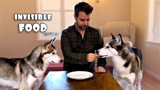 Invisible Food Prank: My Huskies Think I’m Crazy! | SUBTITLED