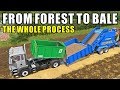 FROM FOREST TO A WOODEN BALE | Sussex Farm - Farming Simulator 17 - Ep2