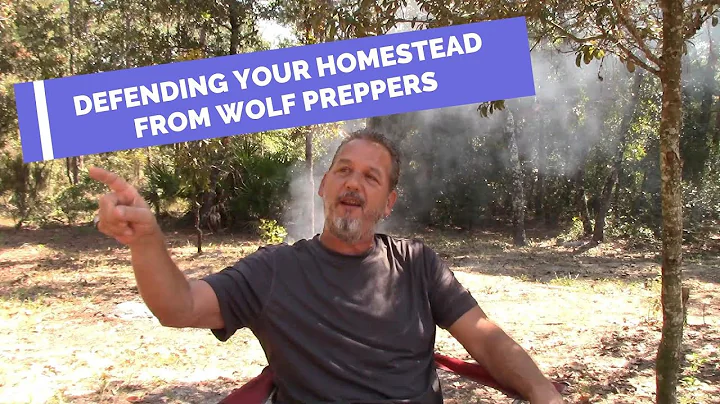 DEFENDING your FAMILY and HOMESTEAD from wolf preppers/ looters during SHTF