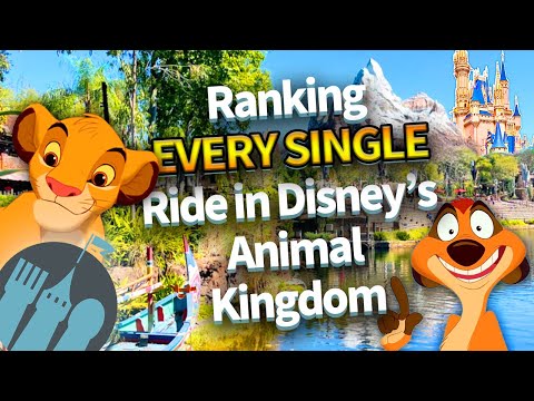 Video: Top Thrill Rides al Disney World's Animal Kingdom