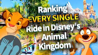 Ranking EVERY SINGLE Ride in Disney’s Animal Kingdom