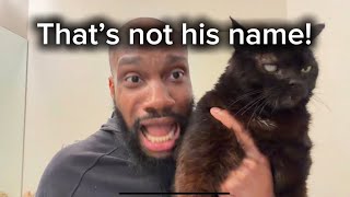 Why do we give cats names just to never use them?!