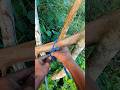 this knot will save your life #knottying #ropetrick #outdoorskills