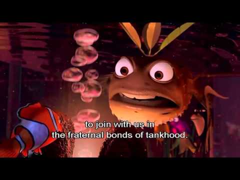 Initiation of Nemo - Finding Nemo