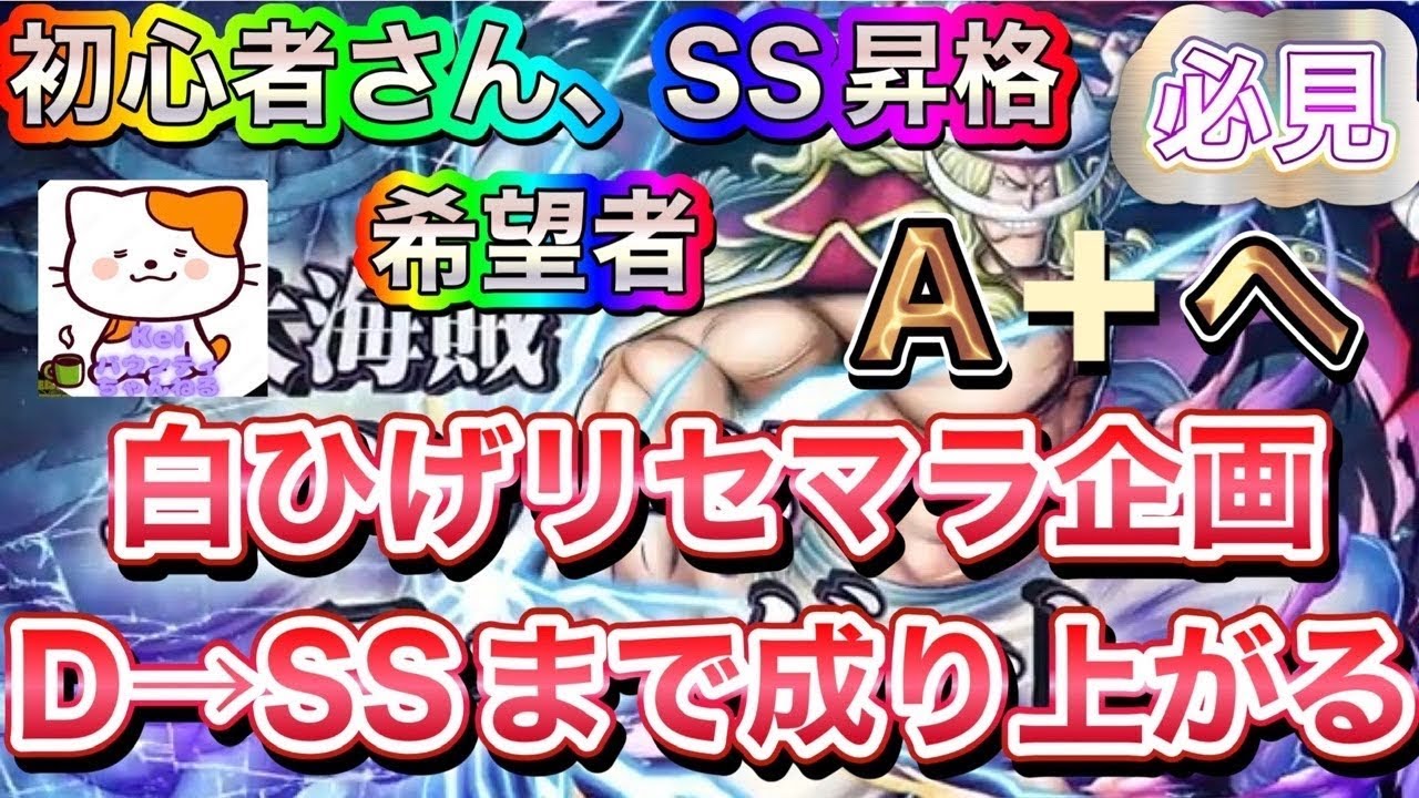 【バウンティラッシュ】白オヤジ　リセマラしてSSまで成り上がる！