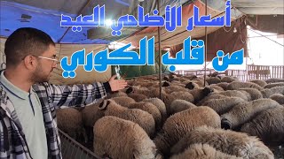 بلا زواق هذه هي أثمنة الأضاحي مع اقتراب العيد من وسط الكوري في أزغنغان مدينة الناظور