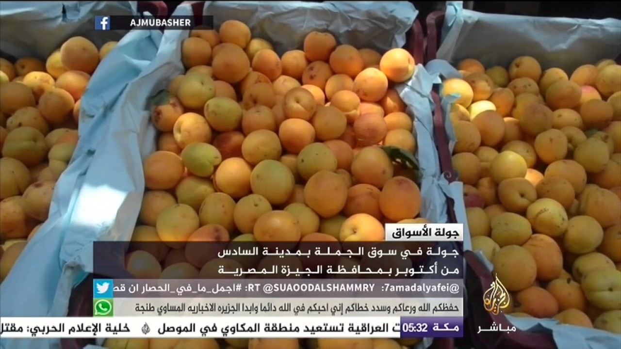 جولة الأسواق - سوق الجملة بمدينة السادس من أكتوبر المصرية