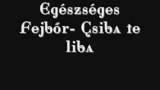Video thumbnail of "Egészséges Fejbőr - Csiba te liba"