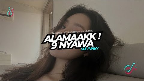 DJ ALAMAK - KALAU ADA 9 NYAWA RIZKY FEBIAN FT ADRIAN KHALIF VIRAL TIKTOK 🔥