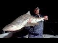 Fishing for Leopard Sharks with UFC Fighter Tito Ortiz in California - 4K