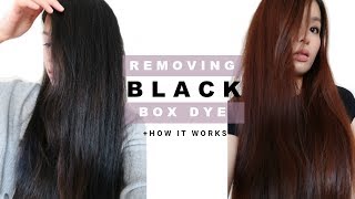 REMOVING PERMANENT BOX DYE IN HAIR & WHY IT WORKED| Easy at home remedy for colored  hair, NO BLEACH - thptnganamst.edu.vn