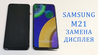 : Samsung M21 -    ()   .  . M215F