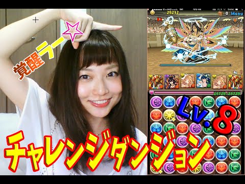 パズドラ 覚醒ラー 第17回チャレンジダンジョンlv 8ノーコン 百々さおり トット Youtube