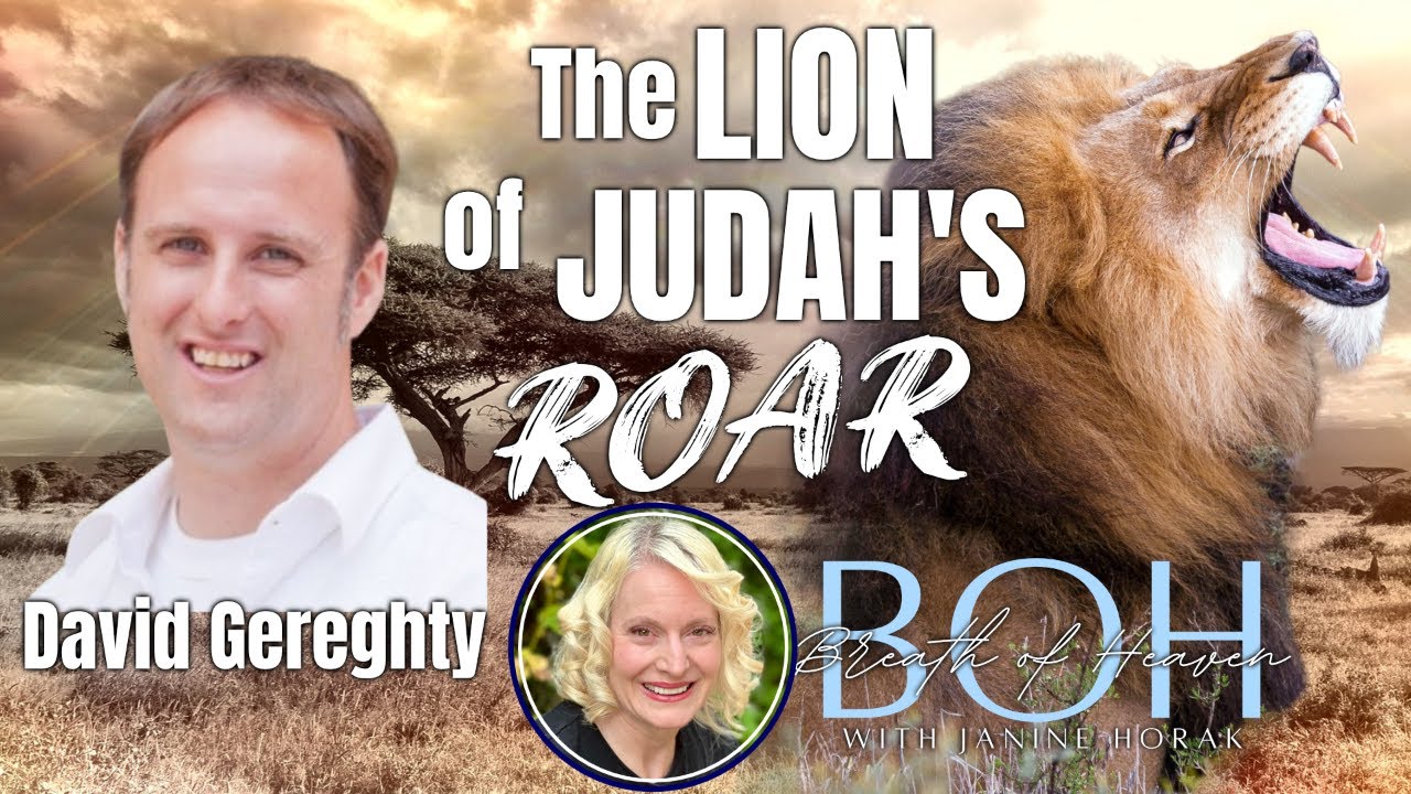 lion's roar live stream video