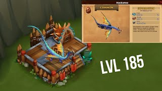 Hackatoo An Lvl 185 Dragonsrise Of Berk