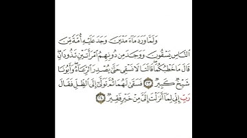 سورة القصص 8 القسم الثامن تكرار كيفي من .. ولما ورد ماء مدين .. إلى .. من خير فقير