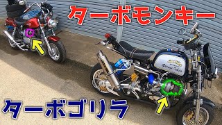 ターボモンキーの参考車両ターボゴリラがやってきた - YouTube