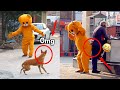 Must Watch New Funny Video 2021 Giant Yellow Teddy Bear New Funny Prank Raipuriya Pranker