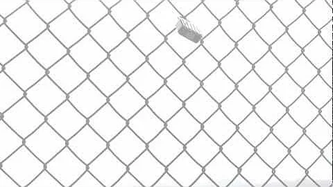 Bill C-10: Omnibus Crime Bill