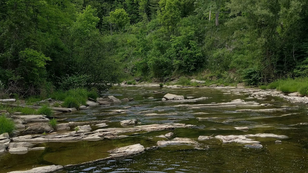 BFV I5-12600KF RTX 2060 1440P RTX OFF ULTRA