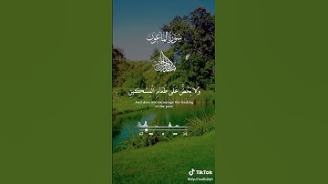 سورة #الماعون بتلاوة مميدزة لم تسمعها من قبل .. #تلاوات_خاشعة #القرآن_الكريم