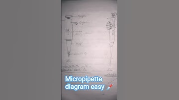 micropipette diagram easy 💉#bsc zoology practical #chemistry instrument #short feed #viral #science