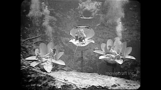 Weeki Wachee and Cypress Gardens 1964. TV travel series 