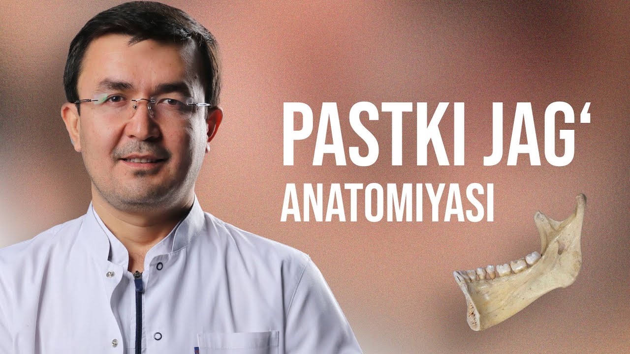 Pastki jag' anatomiyasi