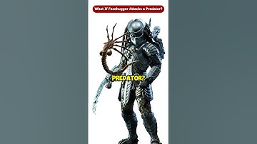 What If The Facehugger Attacks a Predator? #Shorts #Viral