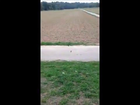 Megaböller selber bauen - YouTube