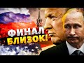 РАЗВЯЗКА в Украине СЕГОДНЯ! Трамп выкатил УЛЬТИМАТУМ Путину: Зеленский доволен