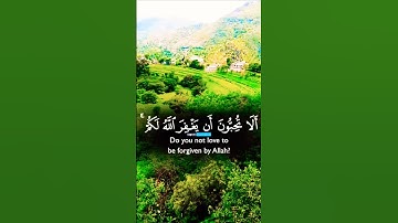 تلاوة خاشعة بصوت يريح الأعصاب #elmulquranعلم #تلاوة #قران_كريم #المصحف #trend #اكسبلور #aslam