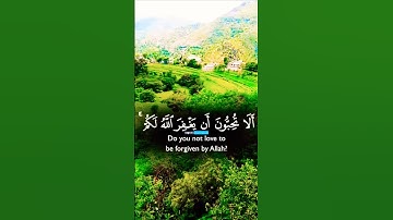 تلاوة خاشعة بصوت يريح الأعصاب #elmulquranعلم #تلاوة #قران_كريم #المصحف #trend #اكسبلور #aslam
