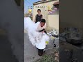Funny Mobile Photo Effects One Click VFX Magic, Do not try at home its only Editing Affects Colorful