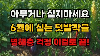 6월에 심으면 찰떡궁합! 병해충 막아주는 텃밭 작물 9가지
