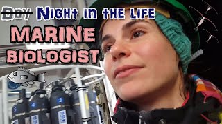 Night in the life of a Marine Biologist | PhD life!