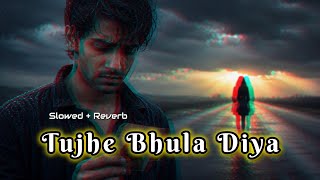 Tujhe Bhula Diya - S L O W E D  +  R E V E R B | Mohit  Chauhan, Shekhar Ravjiani, Shruti Pathak