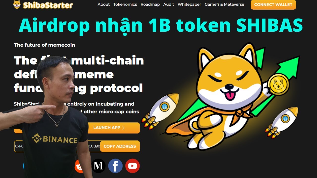 Hướng dẫn nhận 1000000000 token SHIBAS mạng BSC - New Crypto Currencies