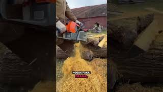#Chainsaw #GergajiMesin #Lumberjack #Woodworking #AlatBerat #GiantChainsaw