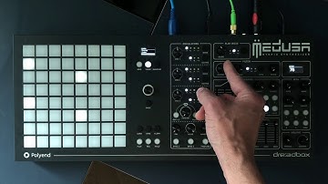 Medusa Hybrid Synthesizer - Analog & Digital voices comparison.