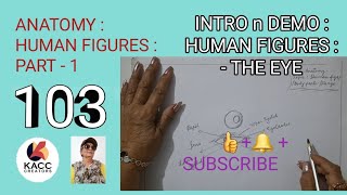 INTRO n DEMO : ANATOMY : HUMAN FIGURES : PART 1, Drawing EYES . ALL Art Courses. 