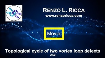 Topological cycle of two vortex loop defects