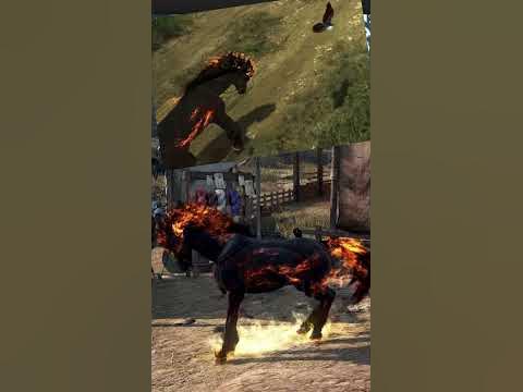 ПРОБУЖДЕНИЕ ИЛЛЮЗИИ - БДО - 9 РАНГ ЛОШАДЬ - Black Desert Online - YouTube