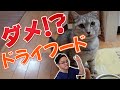 【猫のご飯】教えて獣医さん！ウェットとドライどっちが良いの？？？